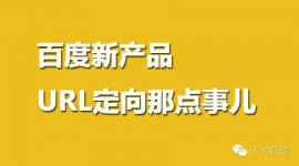 百度又出新花样,竞价须知URL定向那点事-赵阳SEM博客