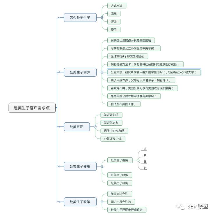 赴美生子的思维导图