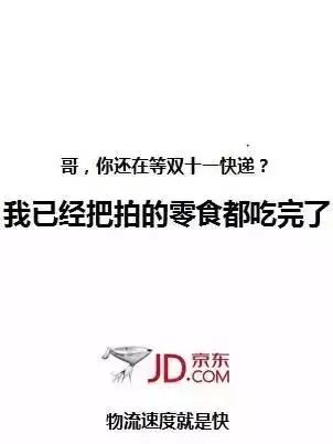 京东广告示意图
