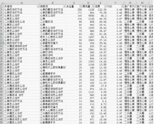 SEM推广搜索词报告图示