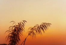 百度竞价教程之数据分析实操攻略，不看后悔！-赵阳SEM博客