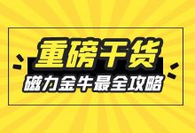 最新！快手磁力金牛广告投放最全攻略上线-赵阳SEM博客