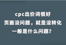 竞价cpc出价词很好，页面没问题，就是没转化，一般是什么问题？-赵阳SEM博客