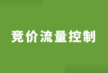 竞价推广怎么控制流量？竞价推广流量控制的4个方面！-赵阳SEM博客