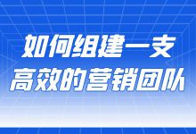 如何组建一支高效的营销团队？各岗位的核心是什么？-赵阳SEM博客