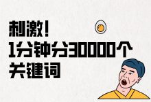 太刺激了，1分钟分30000个关键词，根本停不下来！-赵阳SEM博客