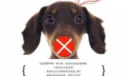 写给想要骗取百度竞价培训视频的朋友-赵阳SEM博客