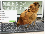 表单线索怎么投？小白向保姆级攻略，两步教你解决问题！-赵阳SEM博客